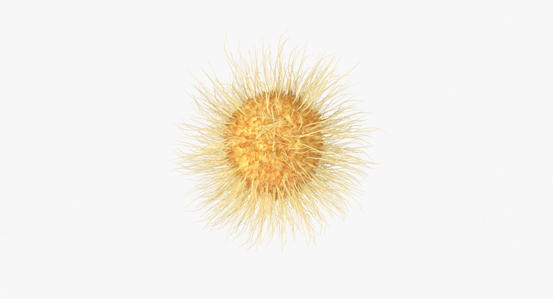 3D escherichia coli bacteria https://p.turbosquid.com/ts-thumb/8S/vLRTN9/1IxiOZ3P/escherichia_coli_bacteria_productshoot_b/jpg/1530009019/1920x1080/fit_q87/2fa6d65051d00a762a6258bec258789228768c2f/escherichia_coli_bacteria_productshoot_b.jpg