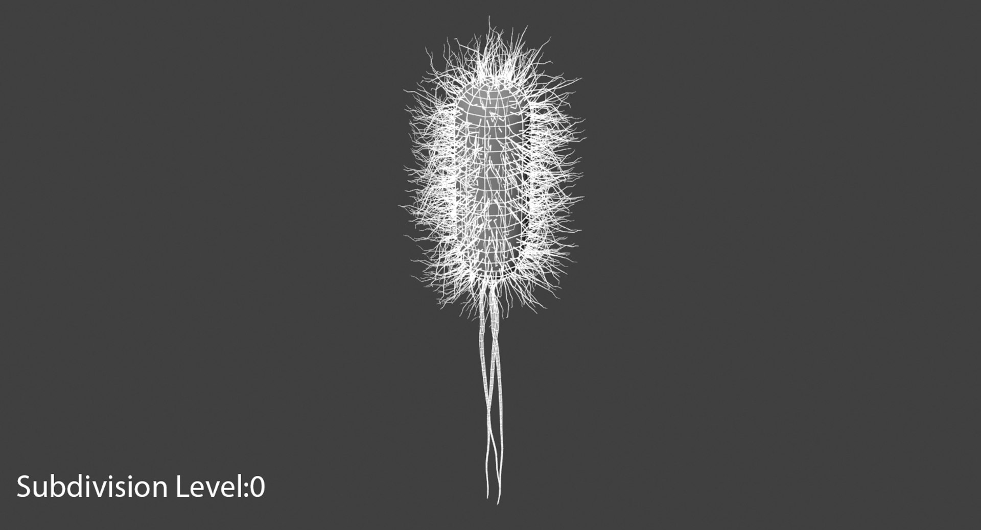3D escherichia coli bacteria https://p.turbosquid.com/ts-thumb/8S/vLRTN9/EYK7tNFh/escherichia_coli_bacteria_wire_sub00_b/jpg/1530009103/1920x1080/fit_q87/77312ce4c570843597ef54ae0ca7c500fc698cd7/escherichia_coli_bacteria_wire_sub00_b.jpg