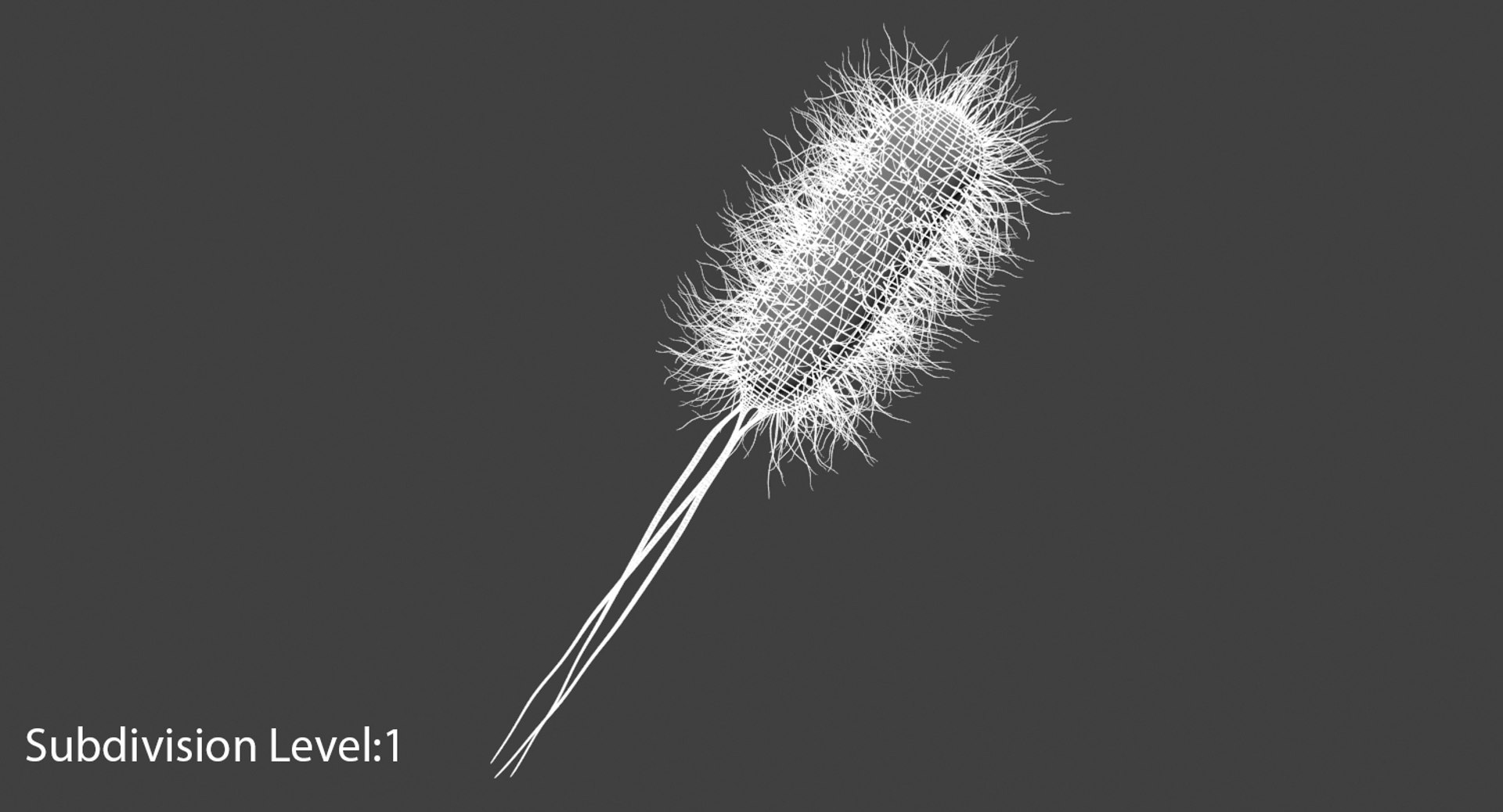 3D escherichia coli bacteria https://p.turbosquid.com/ts-thumb/8S/vLRTN9/X3cRXH3N/escherichia_coli_bacteria_wire_sub01_a/jpg/1530009103/1920x1080/fit_q87/c200bd1f20e9b96bec5186b35a0e16b5b2141344/escherichia_coli_bacteria_wire_sub01_a.jpg