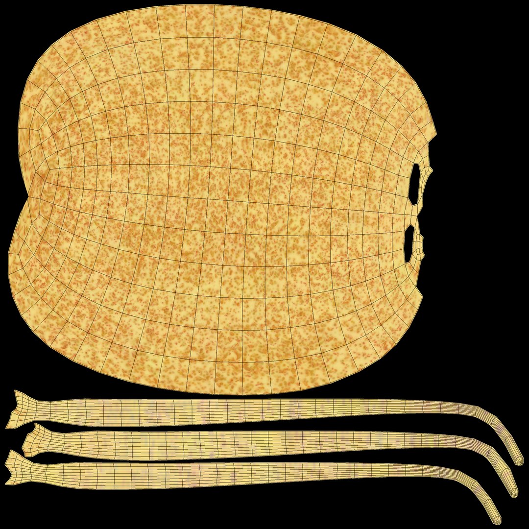 3D escherichia coli bacteria https://p.turbosquid.com/ts-thumb/8S/vLRTN9/X4T31BOI/burkholderia_cepacia_bacteria_uv/jpg/1530009158/1920x1080/fit_q87/29a6d6ac94c6b5da984eff2bdcbda716b4c41f56/burkholderia_cepacia_bacteria_uv.jpg