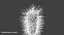 Escherichia Coli Bakterie