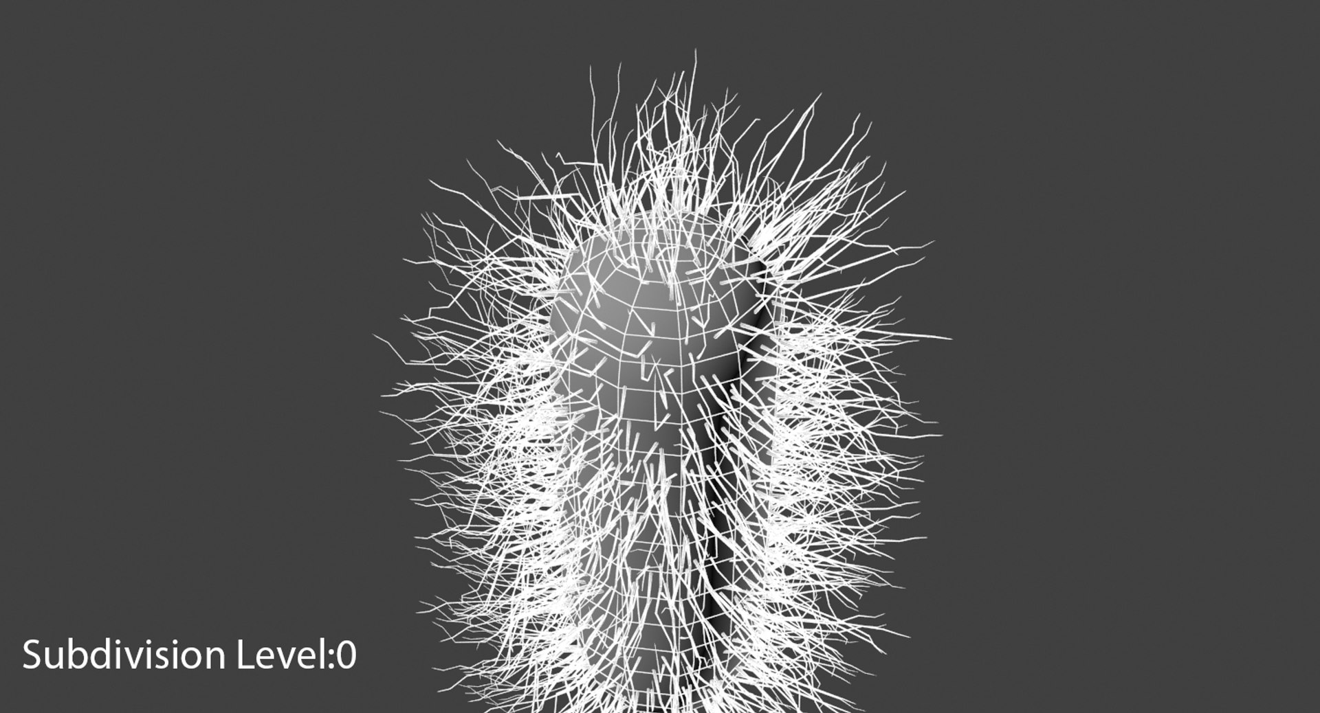 3D escherichia coli bacteria https://p.turbosquid.com/ts-thumb/8S/vLRTN9/uG15p4Nj/escherichia_coli_bacteria_wire_sub00_f/jpg/1530009103/1920x1080/fit_q87/1ceecea9fb17238942a075749907f19493205ec9/escherichia_coli_bacteria_wire_sub00_f.jpg