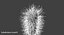 Escherichia Coli Bakterie