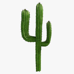 3dsmax cactus transparent ready