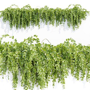 3D model Hanging Wall Plants N43303