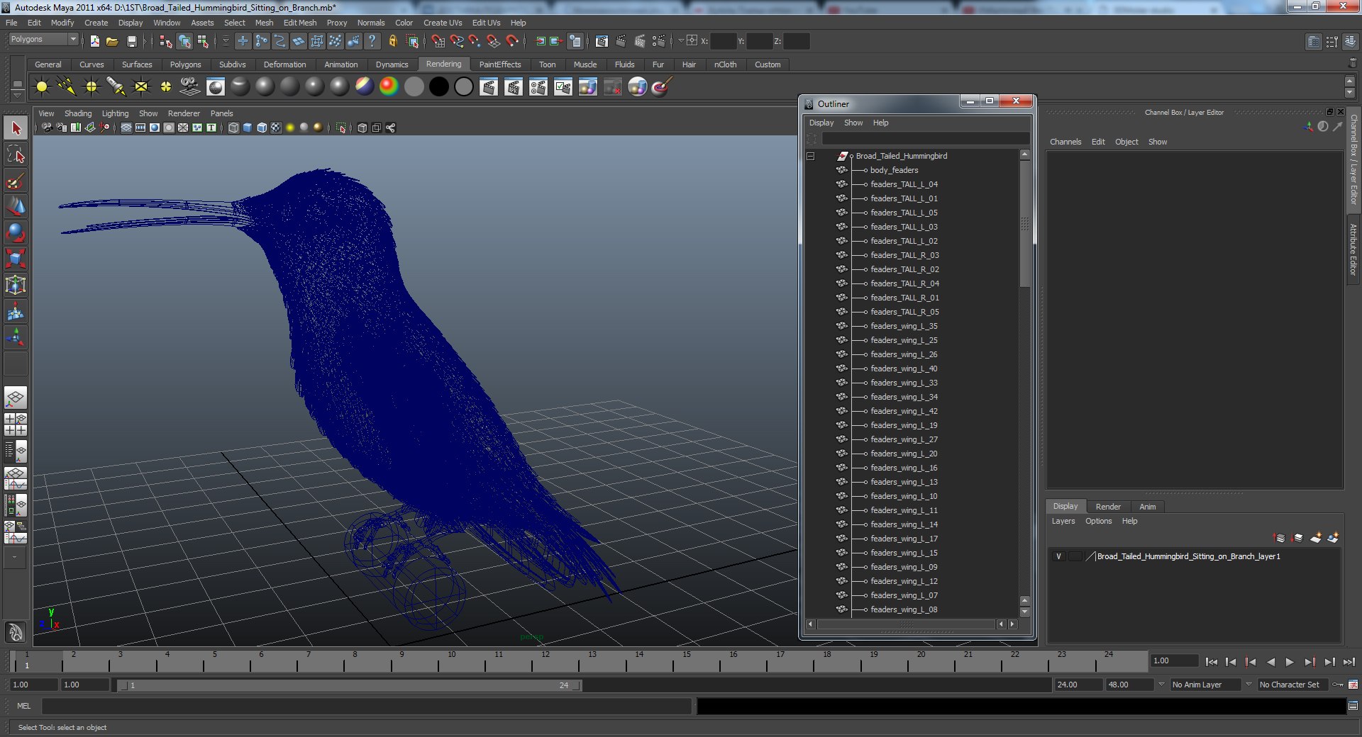 Broad Tailed Hummingbird Sitting on Branch 3D model preview