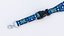 Lanyard with buckle