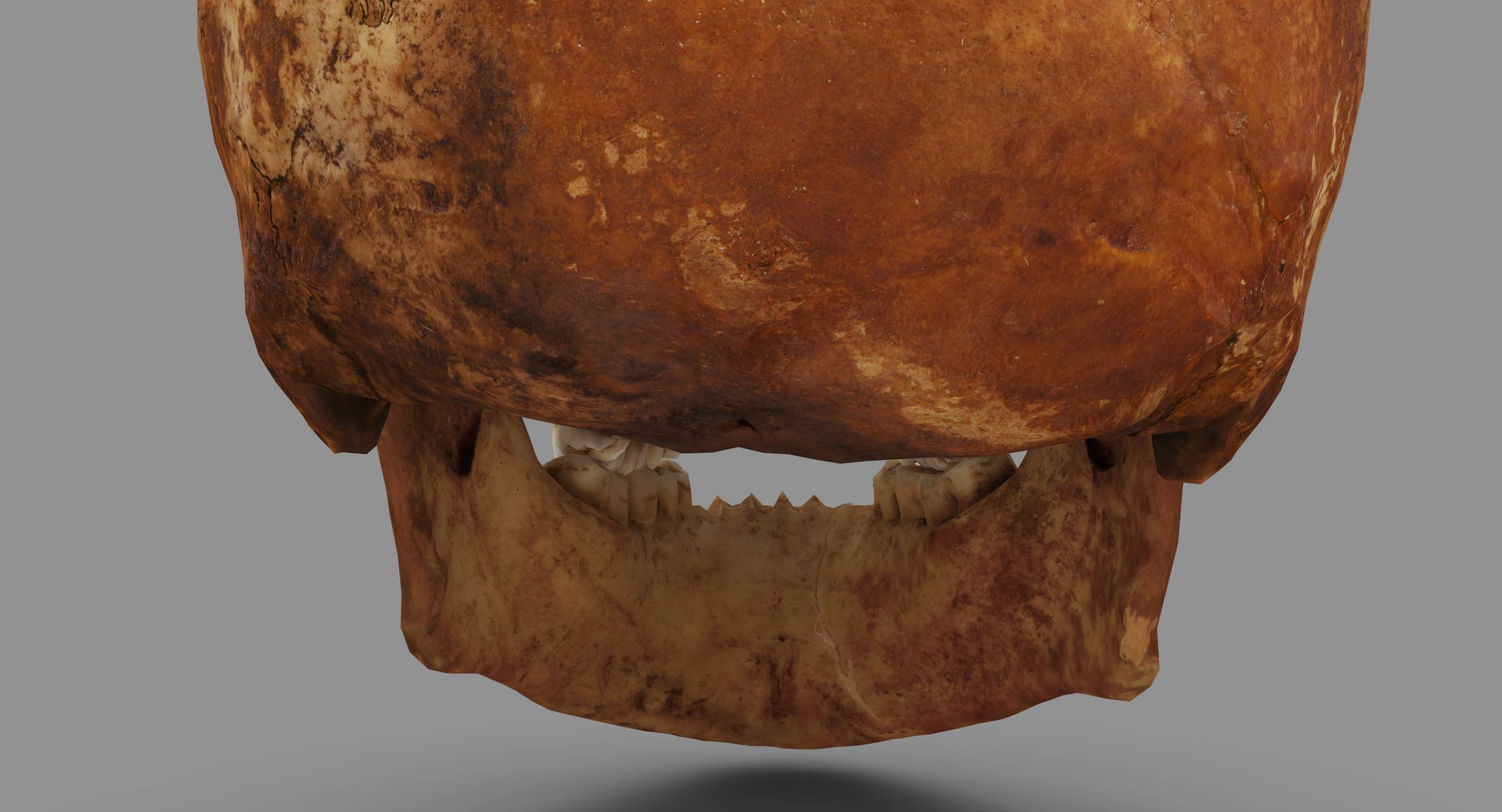 human skull scanned 3D https://p.turbosquid.com/ts-thumb/8T/U6nMKO/6geRE25h/100024/jpg/1570537857/1920x1080/fit_q87/8e403a4a10aa2a1954b6addeb90236be9031056d/100024.jpg