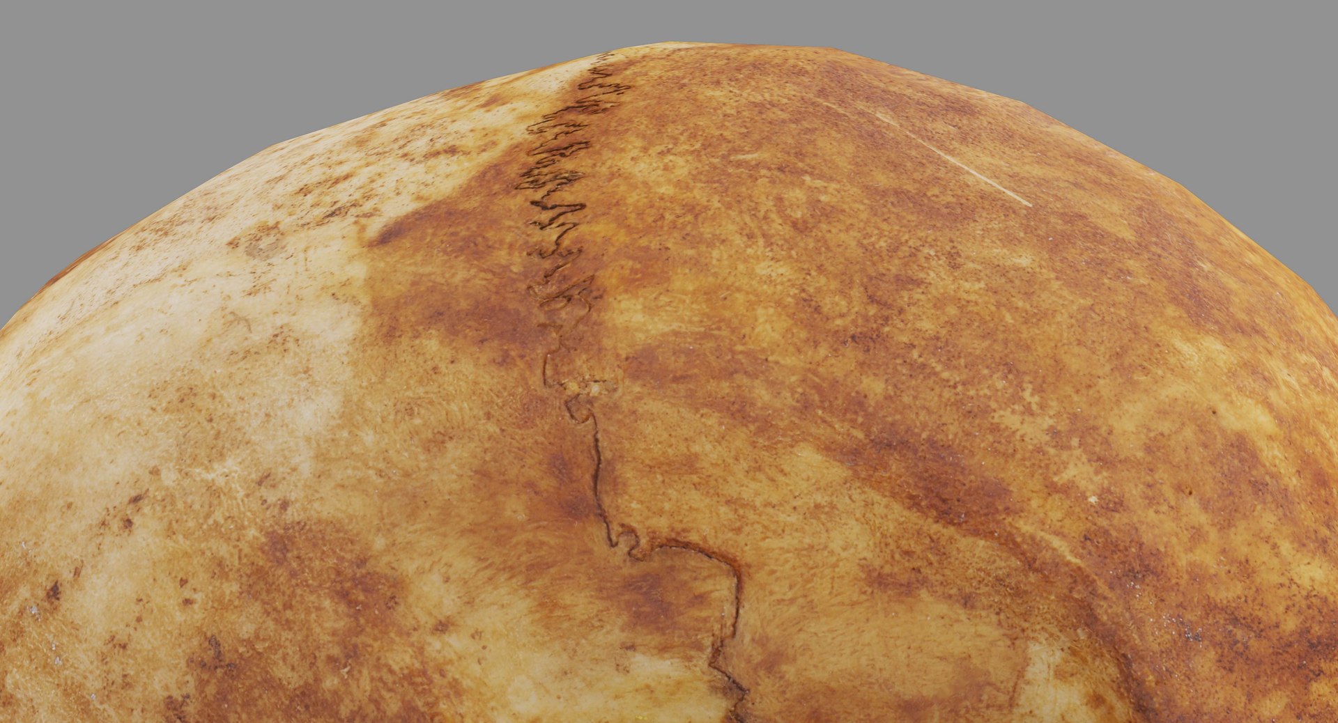 human skull scanned 3D https://p.turbosquid.com/ts-thumb/8T/U6nMKO/A44allfu/100010/jpg/1570537857/1920x1080/fit_q87/cf4f5a44c084165335da3e7e956bf2ba5fd79339/100010.jpg