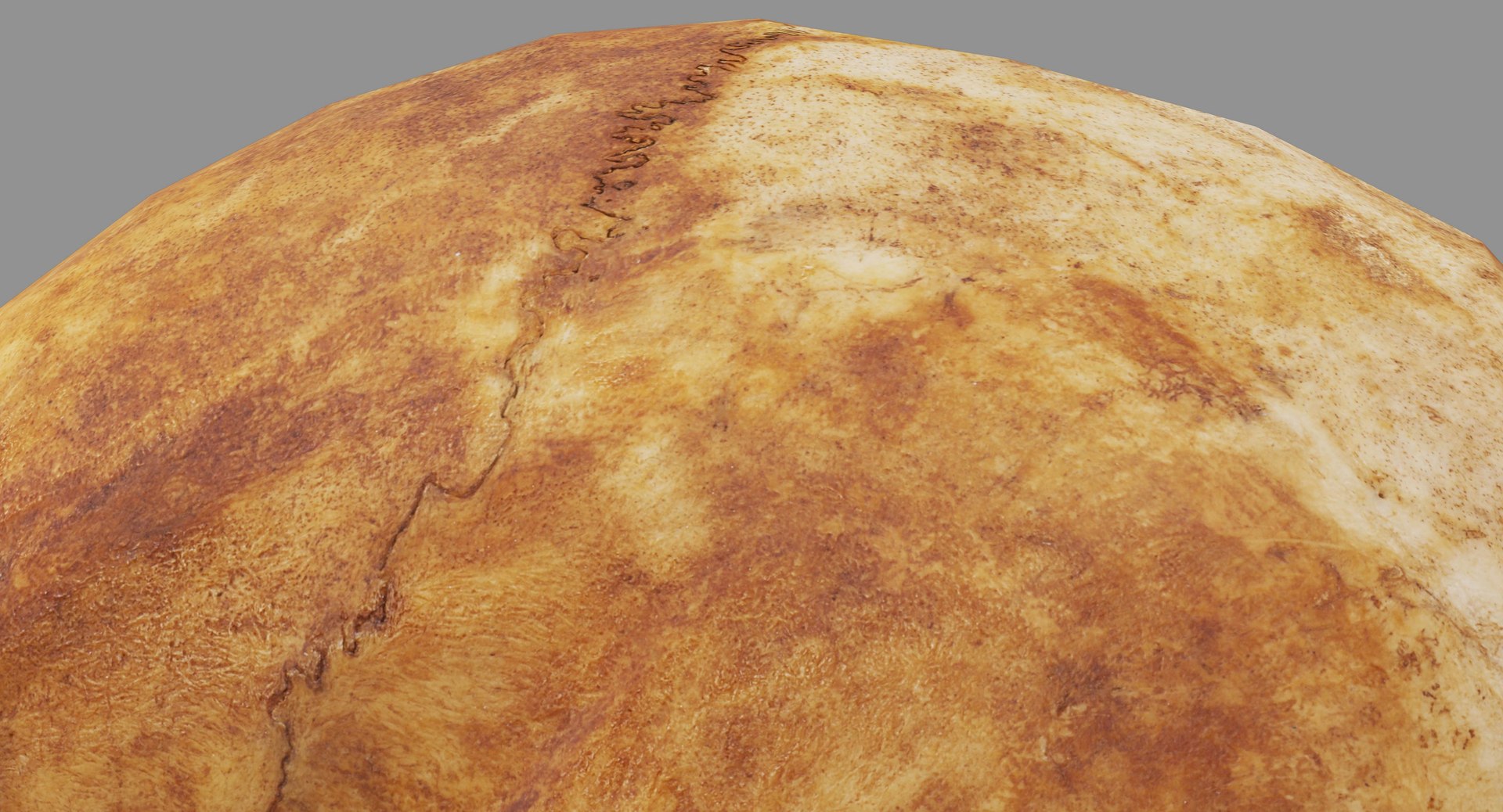 human skull scanned 3D https://p.turbosquid.com/ts-thumb/8T/U6nMKO/AHxjVW16/100025/jpg/1570537857/1920x1080/fit_q87/99c6fad371bffa353b306e8609530fab6323074d/100025.jpg