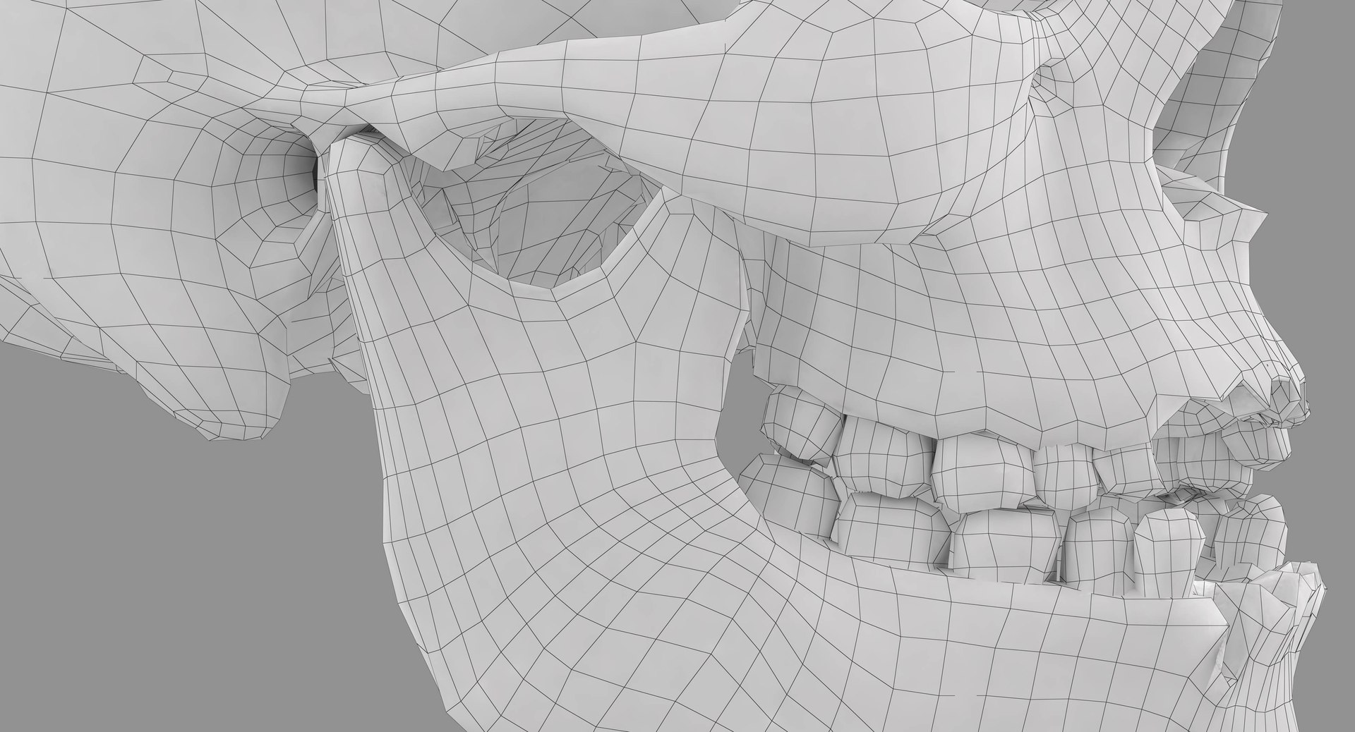 human skull scanned 3D https://p.turbosquid.com/ts-thumb/8T/U6nMKO/BWPVwQE0/100053/jpg/1570537858/1920x1080/fit_q87/3787371324c58bce6babc40f9c949e2de31bc083/100053.jpg