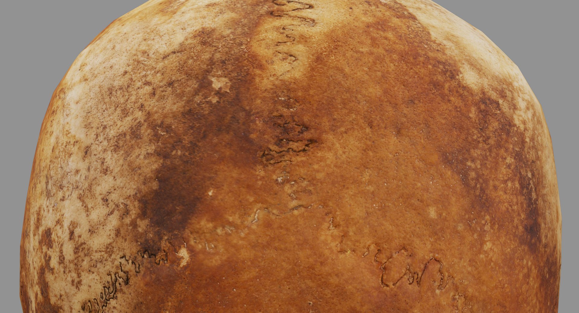 human skull scanned 3D https://p.turbosquid.com/ts-thumb/8T/U6nMKO/E1pZgy6g/100021/jpg/1570537857/1920x1080/fit_q87/791bd49a03fa887b3e395be705203b43cf6caf18/100021.jpg