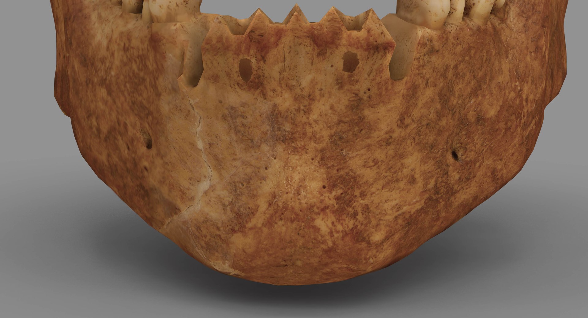 human skull scanned 3D https://p.turbosquid.com/ts-thumb/8T/U6nMKO/FGJdiJxR/100004/jpg/1570537857/1920x1080/fit_q87/8806ffe00cc42328f9b2594ca4df71074fe26c7d/100004.jpg