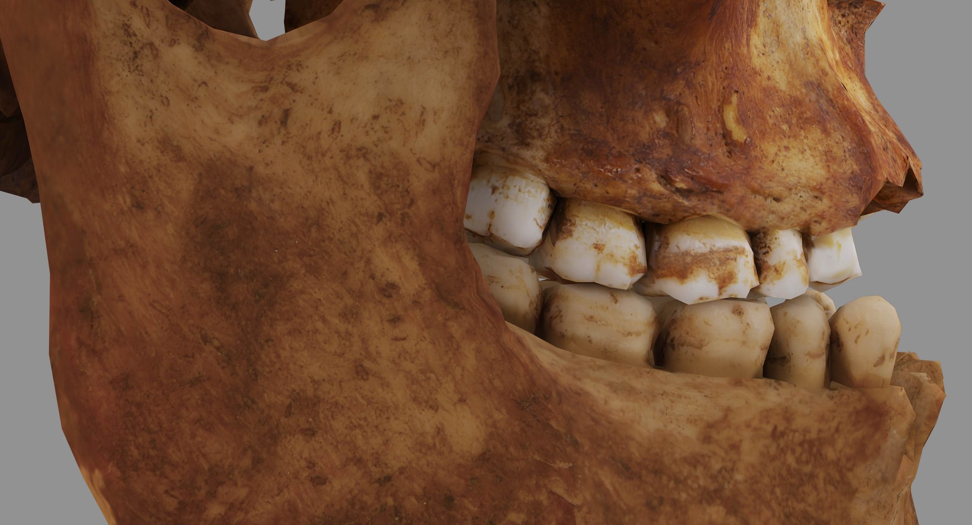 human skull scanned 3D https://p.turbosquid.com/ts-thumb/8T/U6nMKO/Gu0NVHoO/100018/jpg/1570537857/1920x1080/fit_q87/94fcdcdc919235f4305252ca87e7ebb4f35d8f9d/100018.jpg