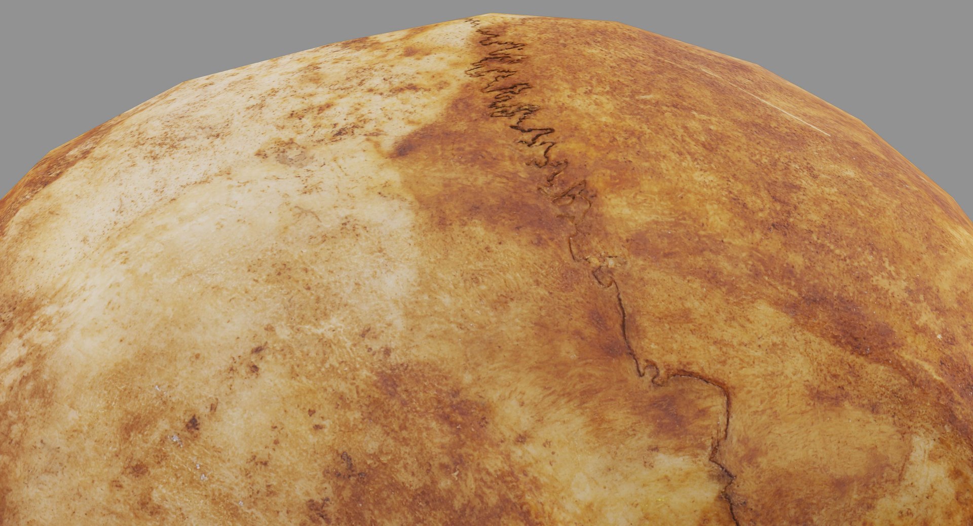 human skull scanned 3D https://p.turbosquid.com/ts-thumb/8T/U6nMKO/LCQ6D3uS/100015/jpg/1570537857/1920x1080/fit_q87/26fe1cf60310fbd68e2ce3cd28fbecf6f26991a8/100015.jpg