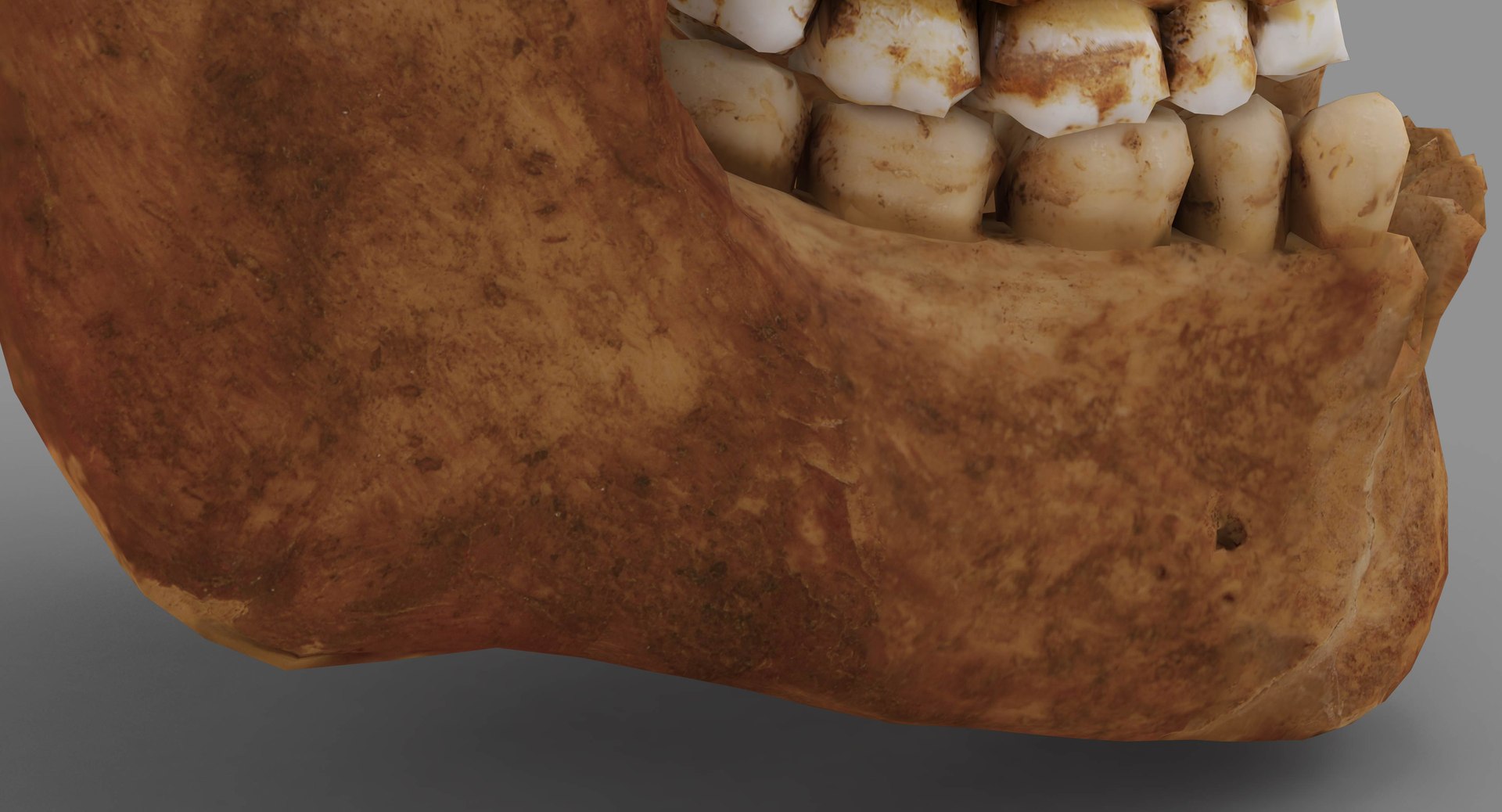 human skull scanned 3D https://p.turbosquid.com/ts-thumb/8T/U6nMKO/NhTiXUZn/100019/jpg/1570537857/1920x1080/fit_q87/e75bfb0956b00ad5ec731daf403f180ac1f71057/100019.jpg