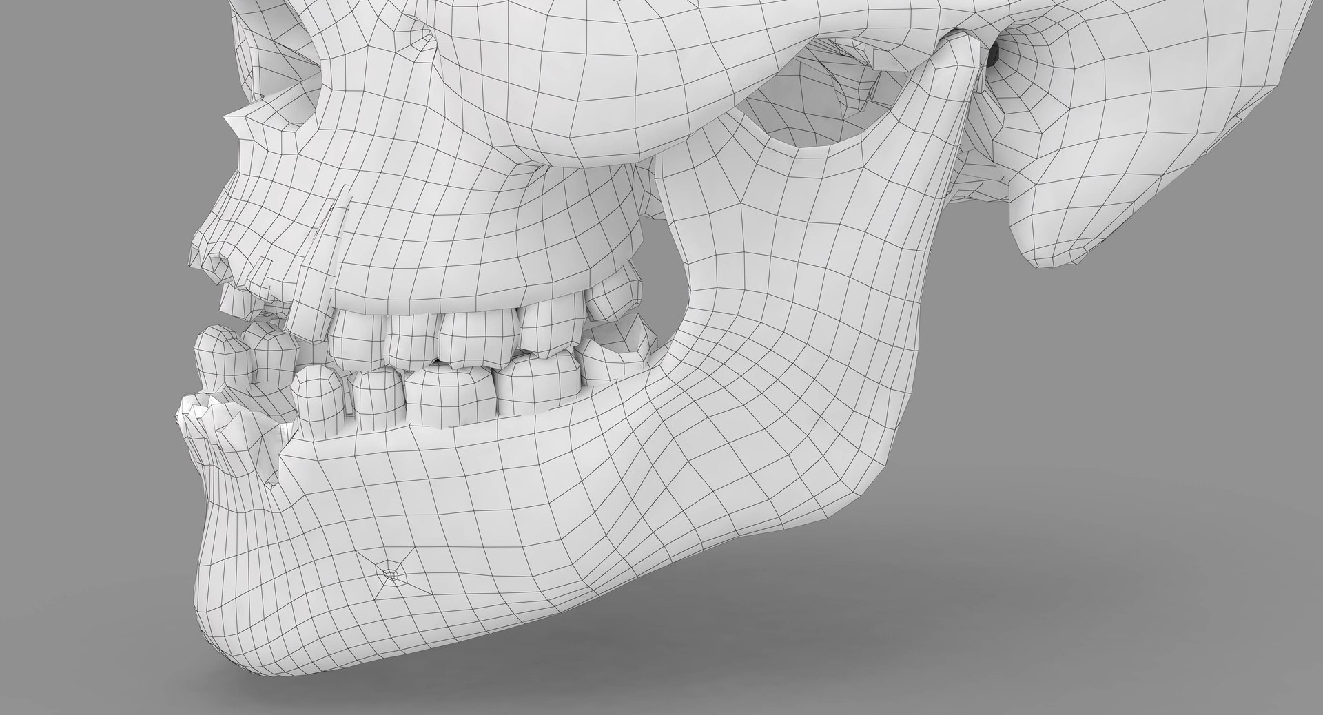 human skull scanned 3D https://p.turbosquid.com/ts-thumb/8T/U6nMKO/PlJkWjJm/100074/jpg/1570537859/1920x1080/fit_q87/ef7fc7d6fdc008ab4f6666624a89723f20e31aab/100074.jpg