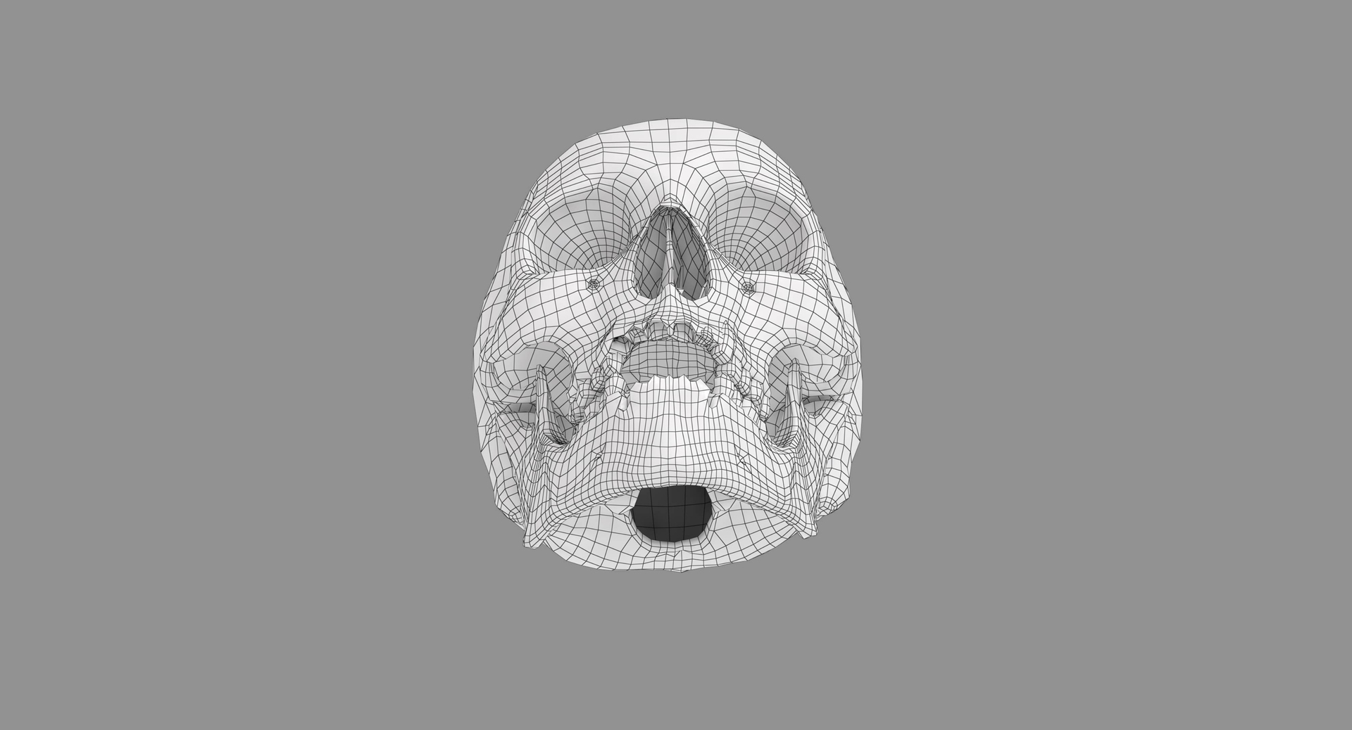 human skull scanned 3D https://p.turbosquid.com/ts-thumb/8T/U6nMKO/Td32Wmef/100036/jpg/1570537794/1920x1080/turn_fit_q99/7a265772fb51871deac3afb02108c2516d8147df/100036-1.jpg