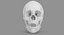 Human Skull Scanned