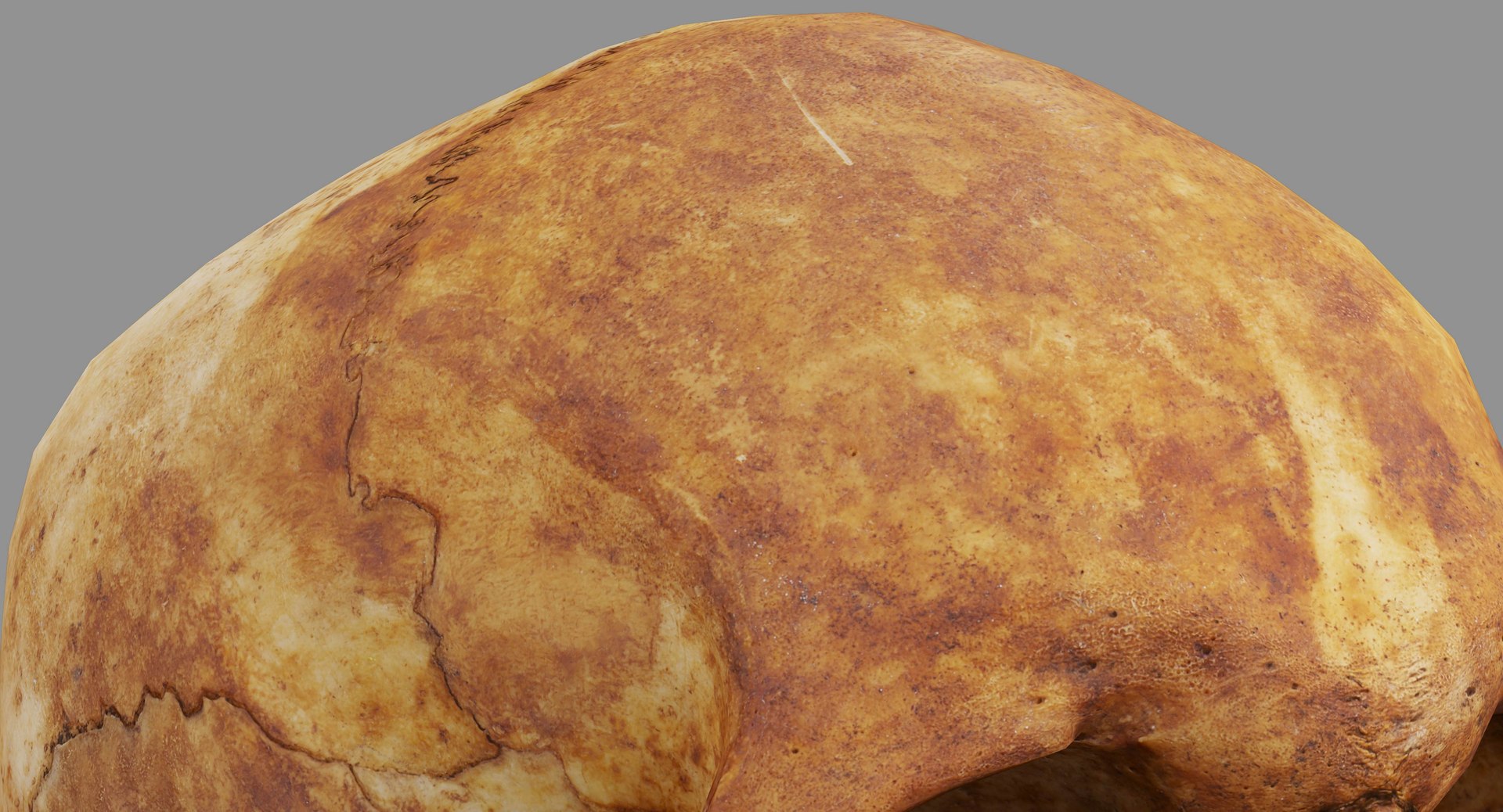 human skull scanned 3D https://p.turbosquid.com/ts-thumb/8T/U6nMKO/bE78agF8/100005/jpg/1570537857/1920x1080/fit_q87/27ee8ee6e7d84f1396085263ea49dfa04df9dd59/100005.jpg