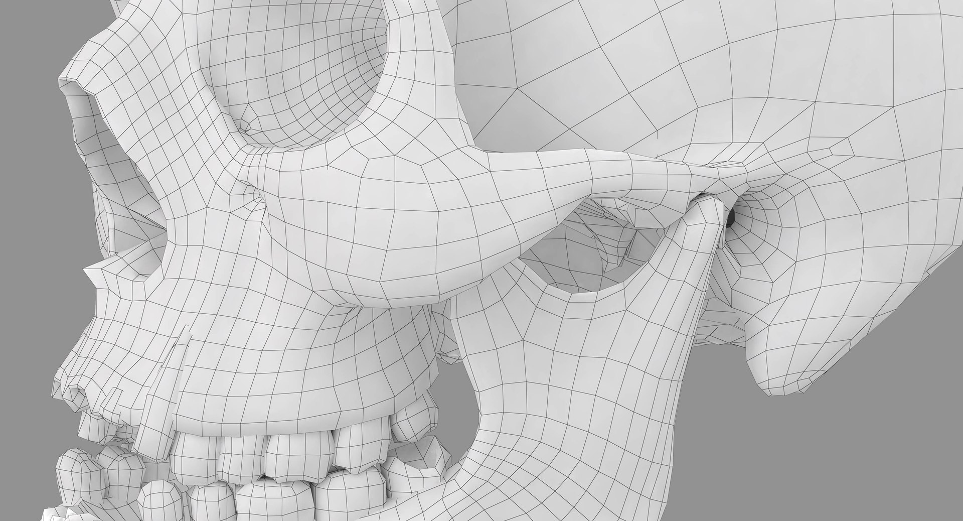 human skull scanned 3D https://p.turbosquid.com/ts-thumb/8T/U6nMKO/cZSall9x/100072/jpg/1570537859/1920x1080/fit_q87/a3dc64e418021d4872cf69be74fcd4e385084b99/100072.jpg
