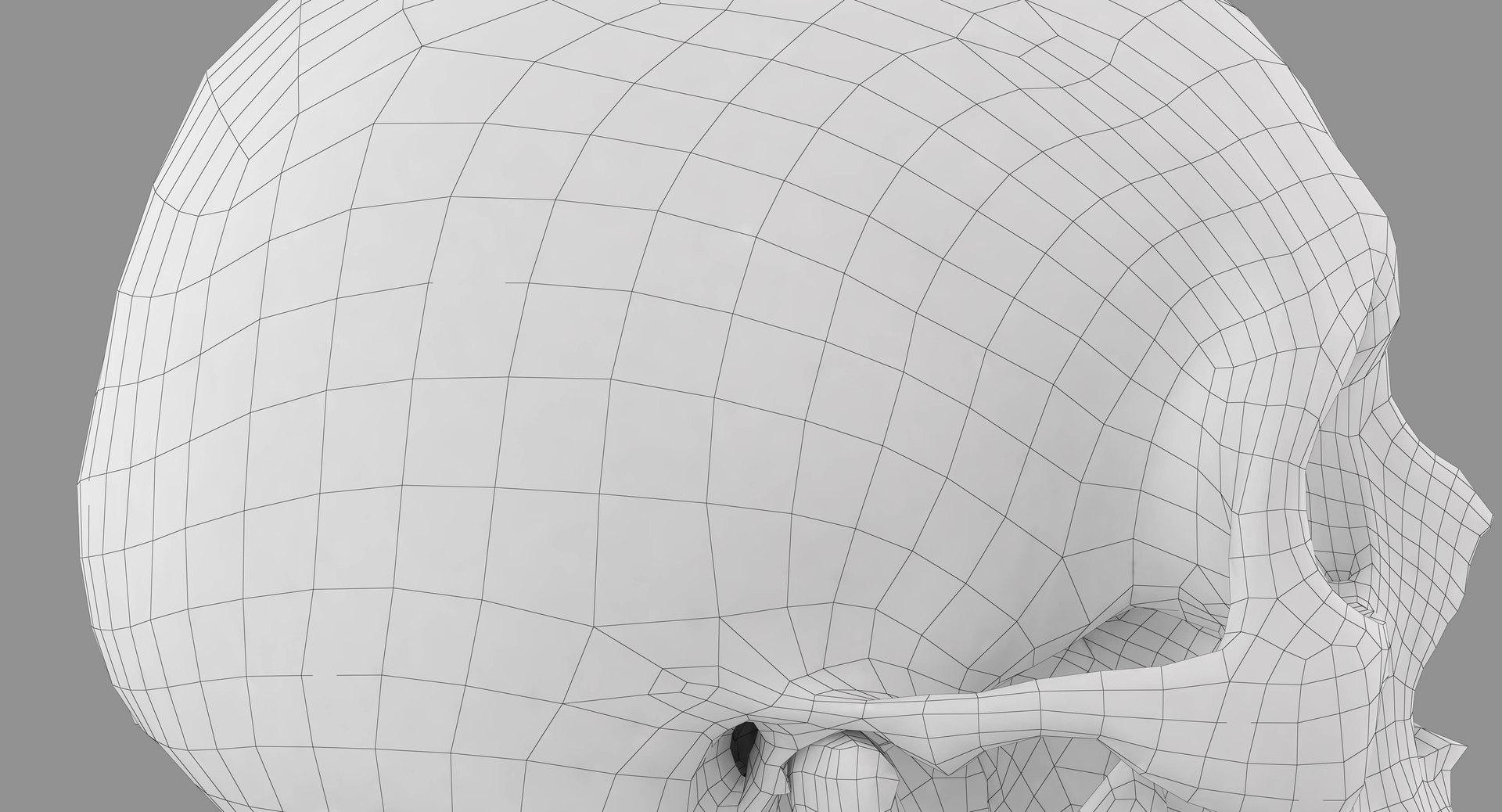 human skull scanned 3D https://p.turbosquid.com/ts-thumb/8T/U6nMKO/jcrdNhnZ/100056/jpg/1570537858/1920x1080/fit_q87/09b74bf13806b15c218793a74b18c9cbb4c5454a/100056.jpg