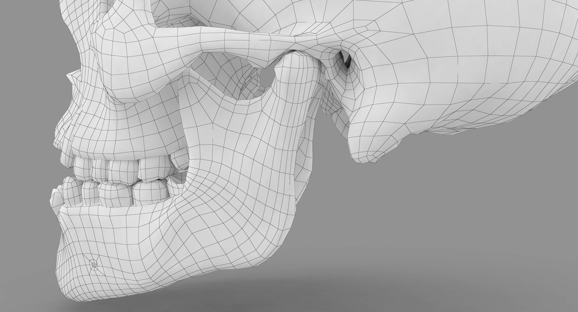 human skull scanned 3D https://p.turbosquid.com/ts-thumb/8T/U6nMKO/phBvdbQC/100069/jpg/1570537858/1920x1080/fit_q87/4ddb1a04e6445e605548bca9e839c6a13382a234/100069.jpg