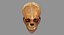 human skull scanned 3D