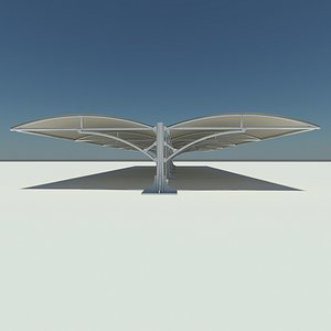 Car canopy
