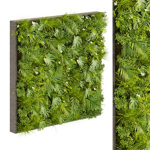 Collection plant vol 359 - fitowall - ertical - leaf - palm - monstera - blender - 3dmax - cinema 4d model