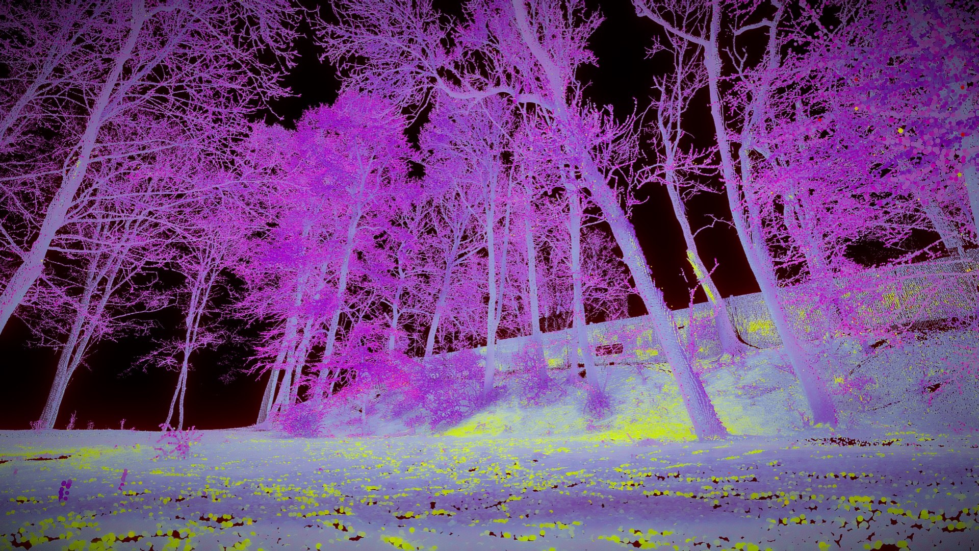 Trees In The Park - Point Cloud 3d - Turbosquid 2240432