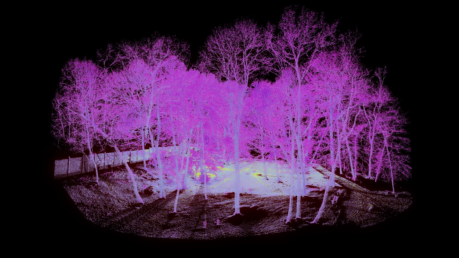 Trees In The Park - Point Cloud 3D - TurboSquid 2240432