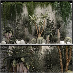 收集热带沙漠植物从仙人掌3D模型