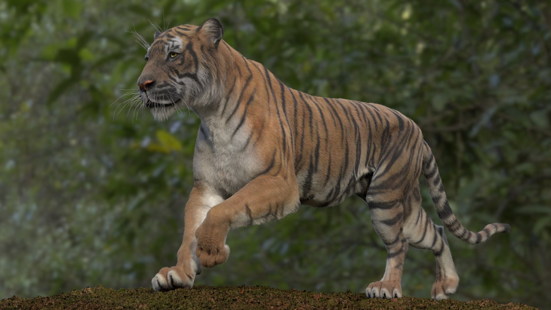 3D TIGGER RIGGED - TurboSquid 2347741