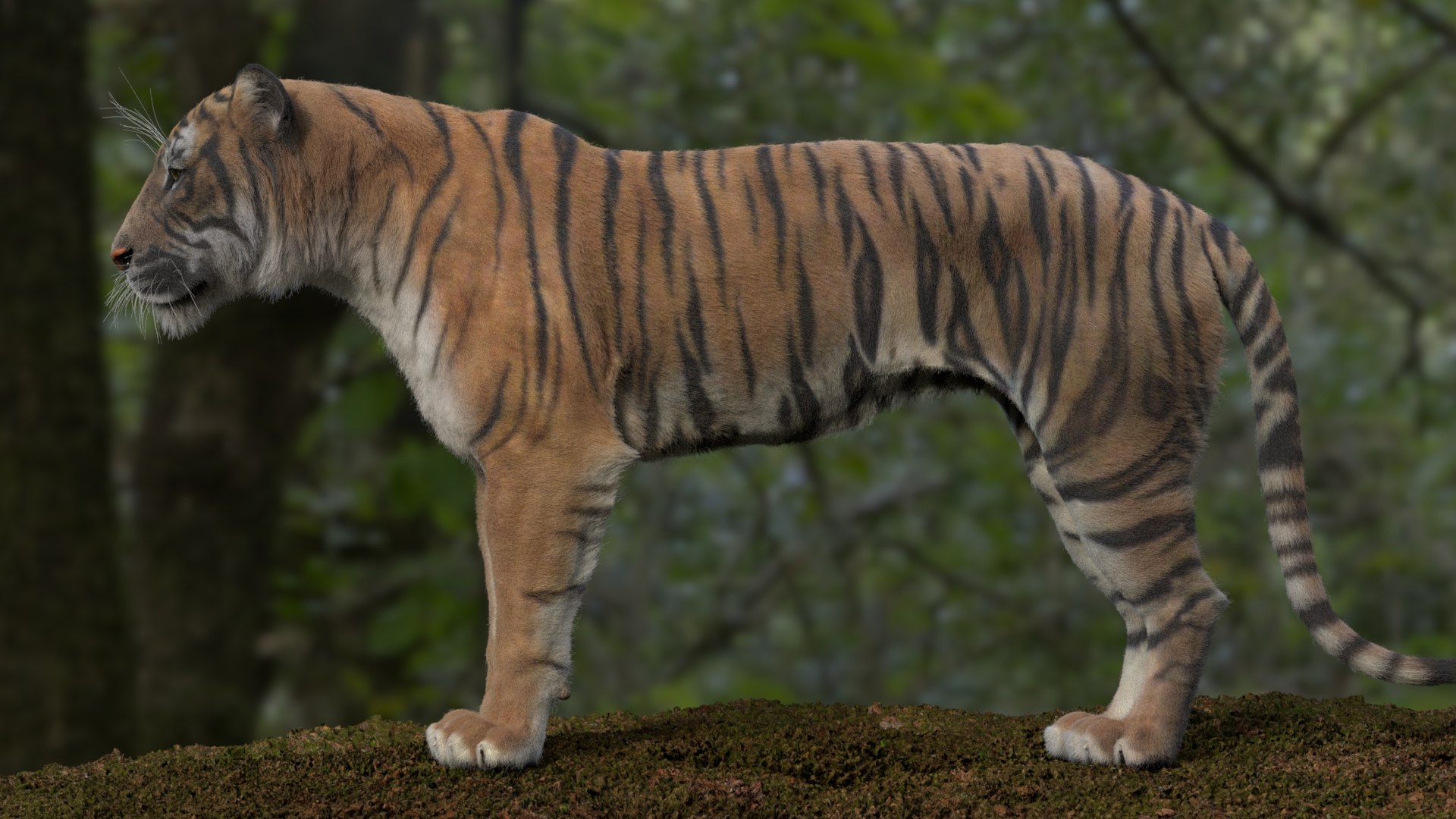 3D TIGGER RIGGED - TurboSquid 2347741