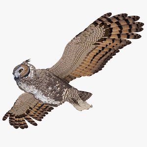 great horned owl flying 3D