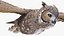great horned owl flying 3D