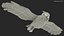 great horned owl flying 3D