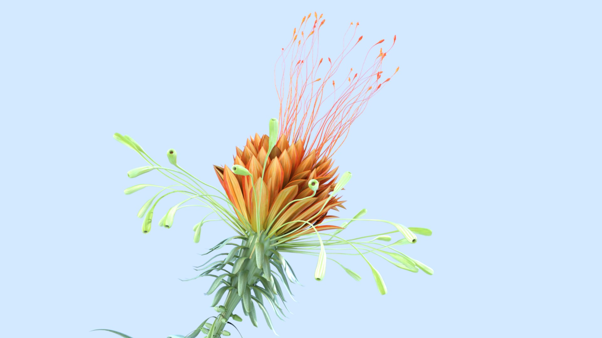 plant 3D https://p.turbosquid.com/ts-thumb/8U/ANtYox/LmNyGNVz/200000/png/1609519539/1920x1080/fit_q87/9f14875b92f6e119a3d84f6b2b635176cb6775a9/200000.jpg