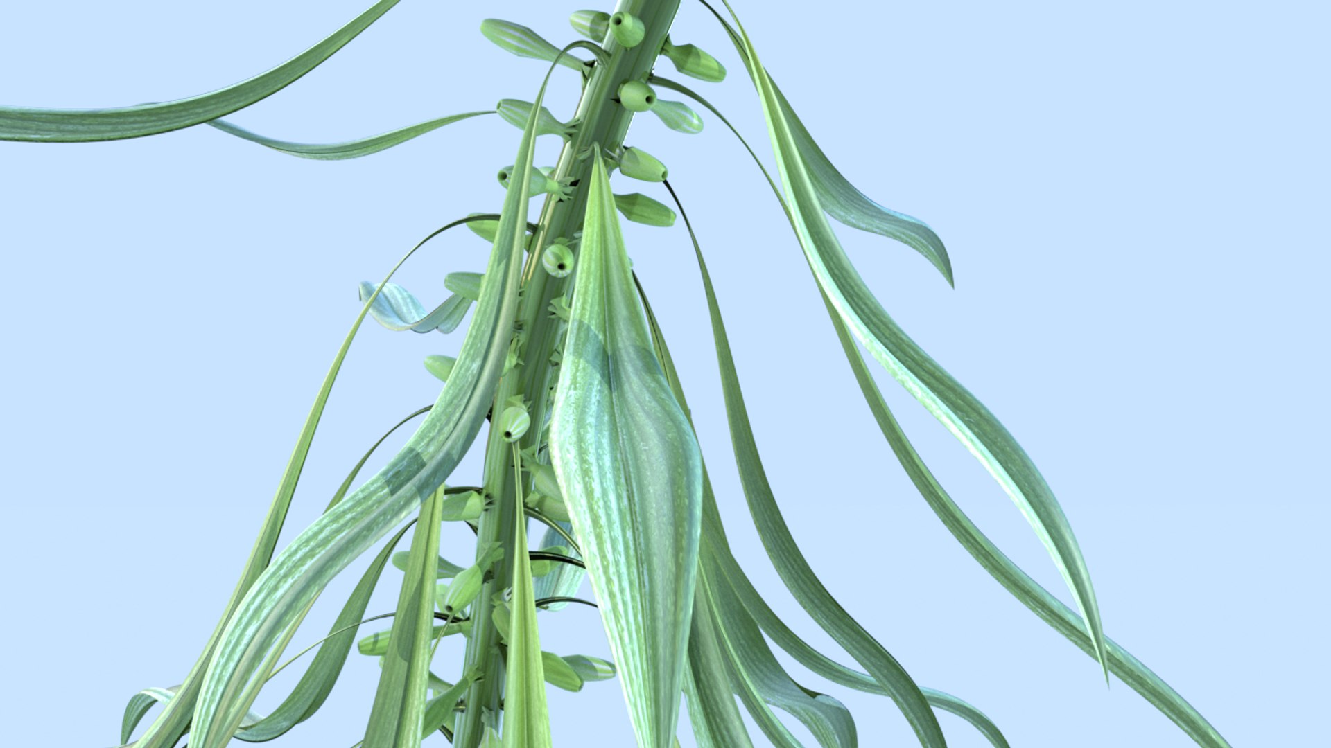 plant 3D https://p.turbosquid.com/ts-thumb/8U/ANtYox/WhOAZKsz/400000/png/1609521315/1920x1080/fit_q87/77d56c5576ffc9ddc2f71e0c169a14cc12889b85/400000.jpg