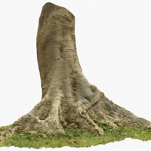 Tropical Tree 2 3D Scan