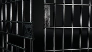 Door prison cell 3D model