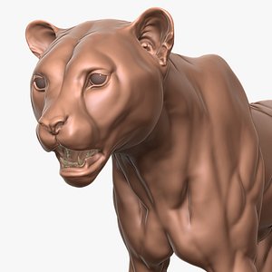 Cheetah Primary Forms Zbrush Sculpt 3D model