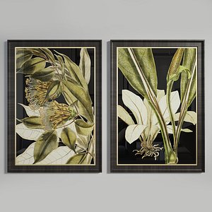 Tranquil Tropical Leaves Art Frame