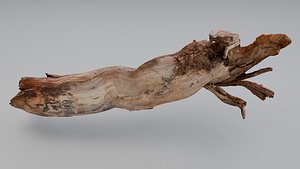 Woodland - Driftwood