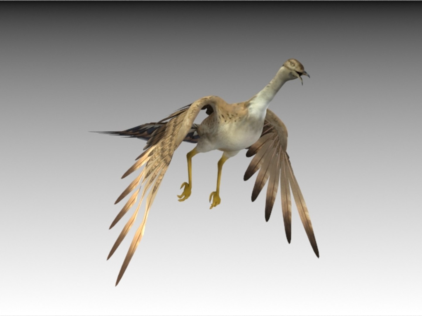 houbara bustard folding wings 3D model https://p.turbosquid.com/ts-thumb/8U/oKpkLL/2kyqT4Jc/h9/jpg/1506842699/1920x1080/fit_q87/8aa1d9d1296ed3f28f0fd1cd42bd924fd3f7dcde/h9.jpg