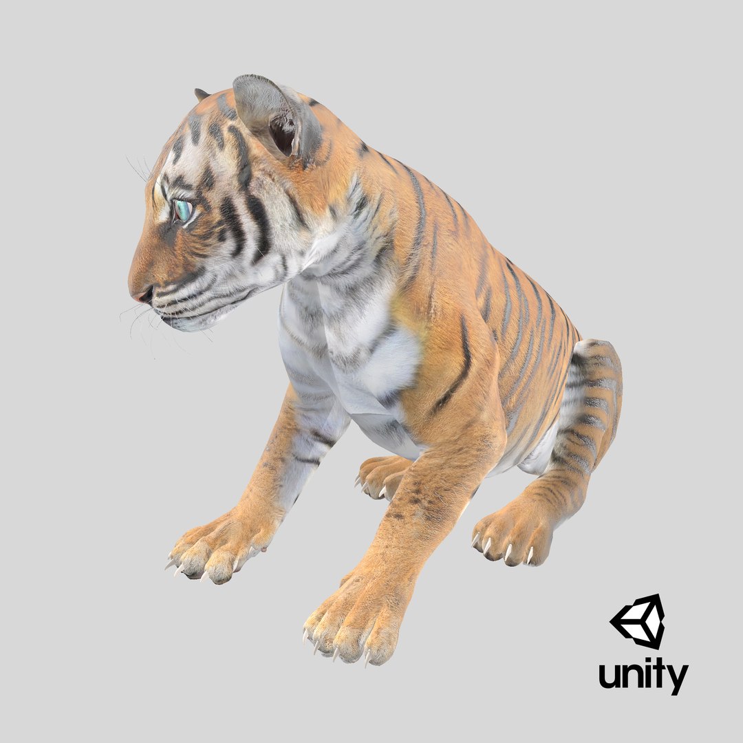 3D Model Tiger Cub Sitting - TurboSquid 2340793