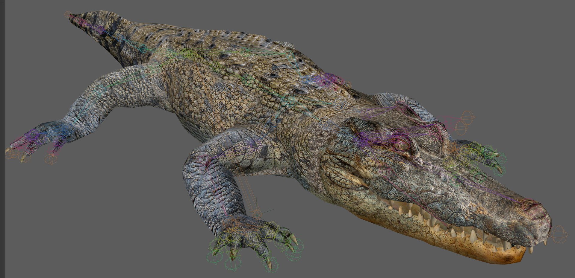 Crocodile Rig 3D - TurboSquid 2107289