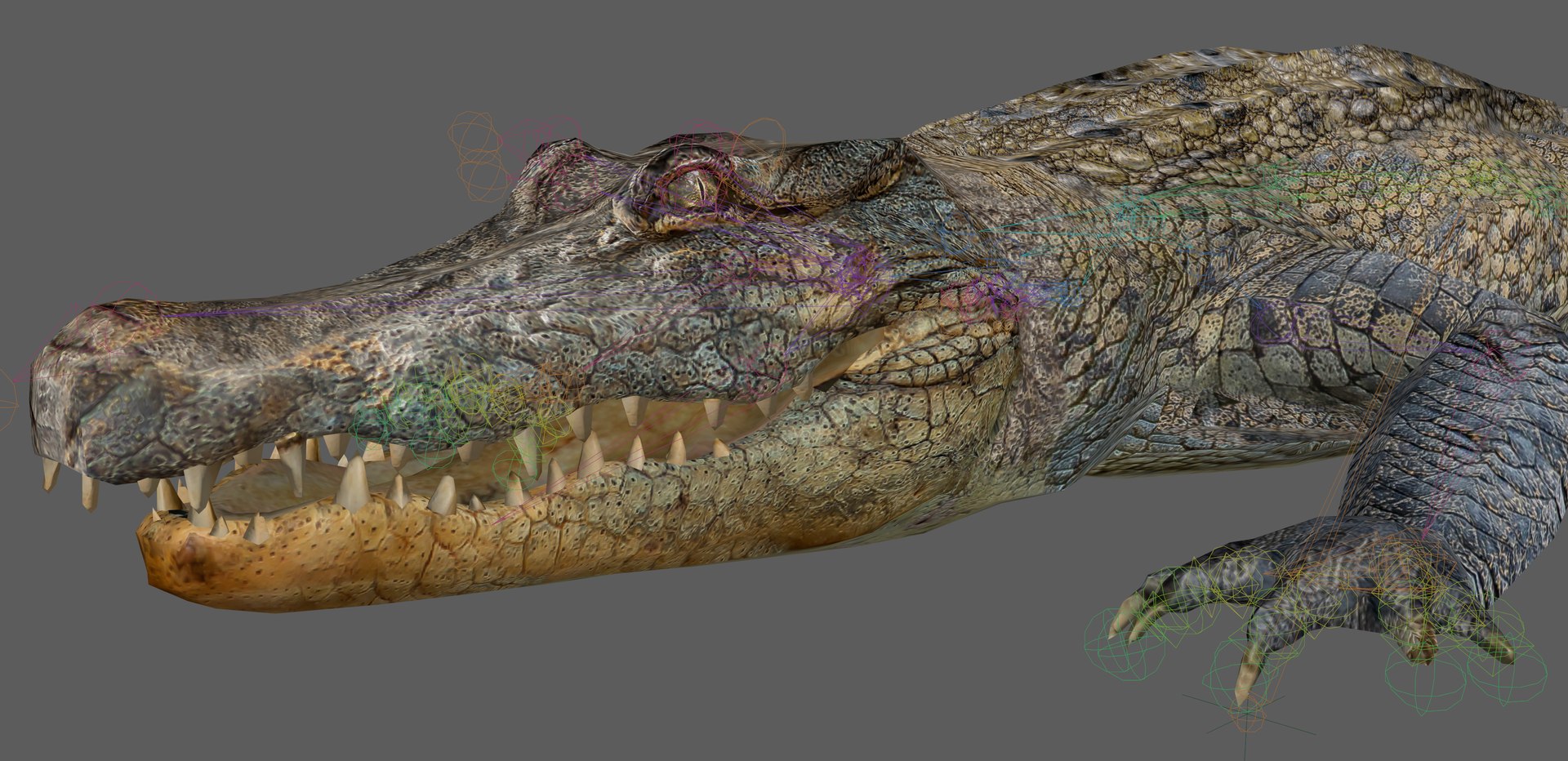 Crocodile Rig 3D - TurboSquid 2107289