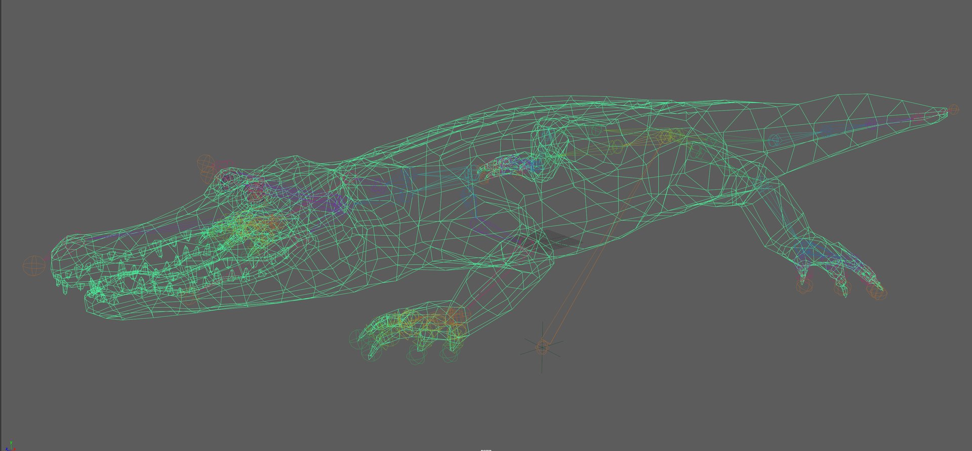 Crocodile Rig 3D - TurboSquid 2107289